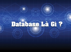 Database_la_gi